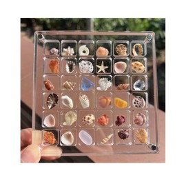 2 Pieces Mini Shell Display Box,Seashell Display Box,Acrylic Boxes for Display,Small Shells for Crafts Display Case,Shadow Boxes Display Cases for Seashell Starfish,Bead,Nail,Trinket (36 Grid)