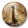 Merchandise for Fans Meerkat Fridge Magnets 02 Large for Memo