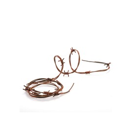Barbed Wire Decoration Plastic 200cm
