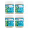 Pack 4 Pomadas De Pata De León Frasco De 40g C/u Mentol