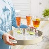 Lakeland Crystal-Look Acrylic Champagne Prosecco Flute