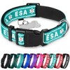 TECEUM Reflective Pet Collar – Teal - ESA – XS