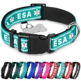 TECEUM Reflective Pet Collar – Teal - ESA – XS – Extra Soft Padding – Basic Nylon Dog Collar – Quick Release Buckle – Fits Small, Medium and Large Dogs, Puppies, Cats – ESA & Service Dog Options
