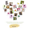 Phytopet Ear Wash | 250ml | Natural & Gentle Cleaning