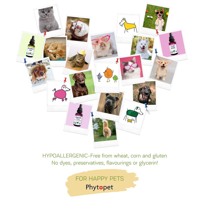 Phytopet Ear Wash | 250ml | Natural & Gentle Cleaning