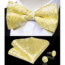 DiBanGu Mens Pre-Tied Bow Tie Adjustable Bow Tie with Woven Pocket Square Cufflink Formal Wedding Party, White and yellow paisley pattern