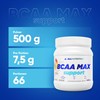 ALLNUTRITION ALLNUTRITION BCAA Max Support Pulver/Kapseln Komplex aus verzweigtkettigen Aminos?uren
