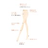 Gunze SB515 Women's Stockings, Sabrina, 3-Pair Set, Thru, Beautiful, No
