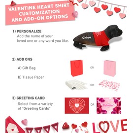 DolliBu I Love You Valentine Plush Sea Lion - Cute Stuffed Animal with Red Shirt and Name Personalization Gift for Valentines Day, Birthday, Anniversary, Romantic Date - 15 Inches