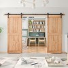 SMARTSTANDARD 11ft Heavy Duty Sturdy Double Sliding Barn Door Hardware