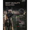 FAIRWIN Leather Dog Leash 6 Foot - Braided Military Grade