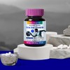Holidays Leucine Protein Tablets 60 Tablets, 4 Bottles (Total 8-Month