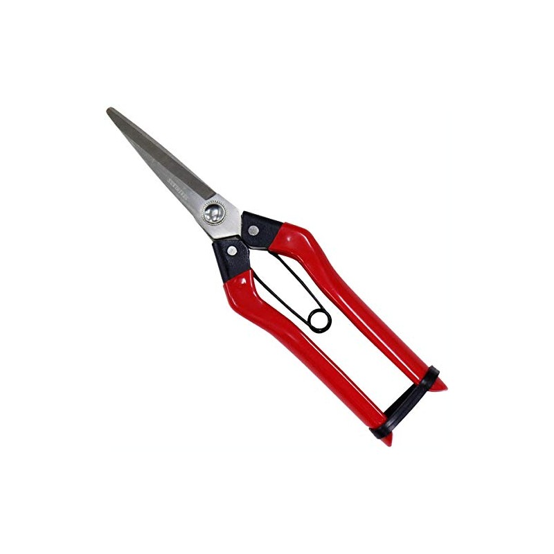 KONYO 31286 Stainless Steel Fruit Shears 8.3 inches (210 mm)