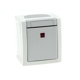 Surface-Mounted Switch Illuminated Wet Room IP54 with Transparent Dome Model Pacific Grey