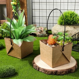 Kisangel 12 Sets Mini Succulent Pot with Kraft Paper Wraps, Succulents Wraps Succulent Planter with Drainage Hole Plants Decoration