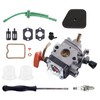 Worldthump Carburetor Repair Kit, C1Q-S174 C1Q-S176 C1Q-S173 4180-120-0611 4180-120-0610 1Set