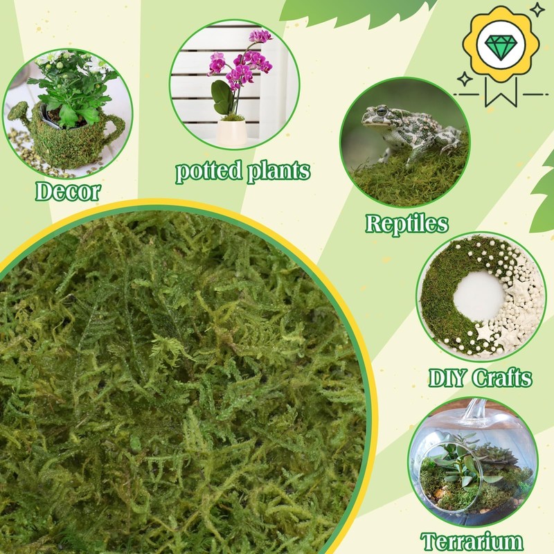 Halatool 6OZ Green Moss for Indoor Plants, 8QT Orchid Moss