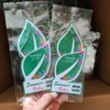 Toronto Scents Hanging Air Freshener (Summer Vibes)