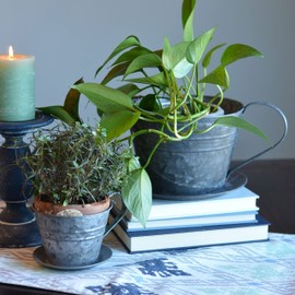 Rustic Tea Cup Planters, Set of 2, Shabby Grey, Zinc, Attached Handles and Saucers, 8.75 Diameter, Overall 11 Inches Wide Including Handles