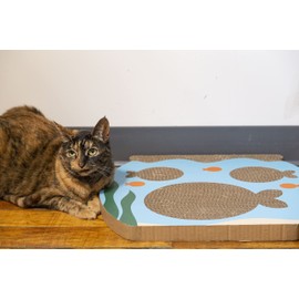 Pearhead Interactive Cat Scratch Toy, Fishbowl Theme, 19"W x 14.8"H x 1.3"D