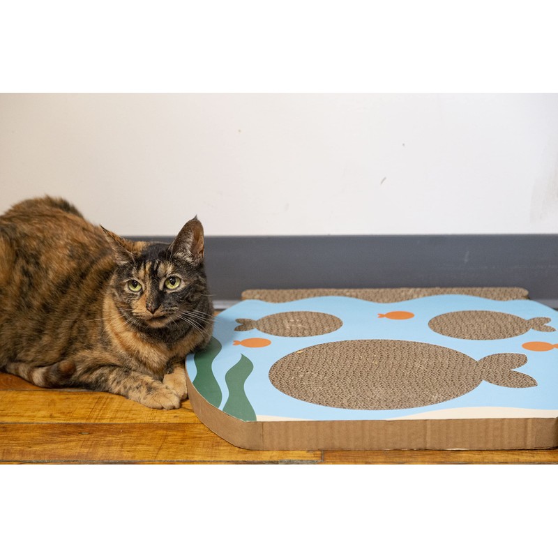 Pearhead Interactive Cat Scratch Toy, Fishbowl Theme, 19"W x 14.8"H