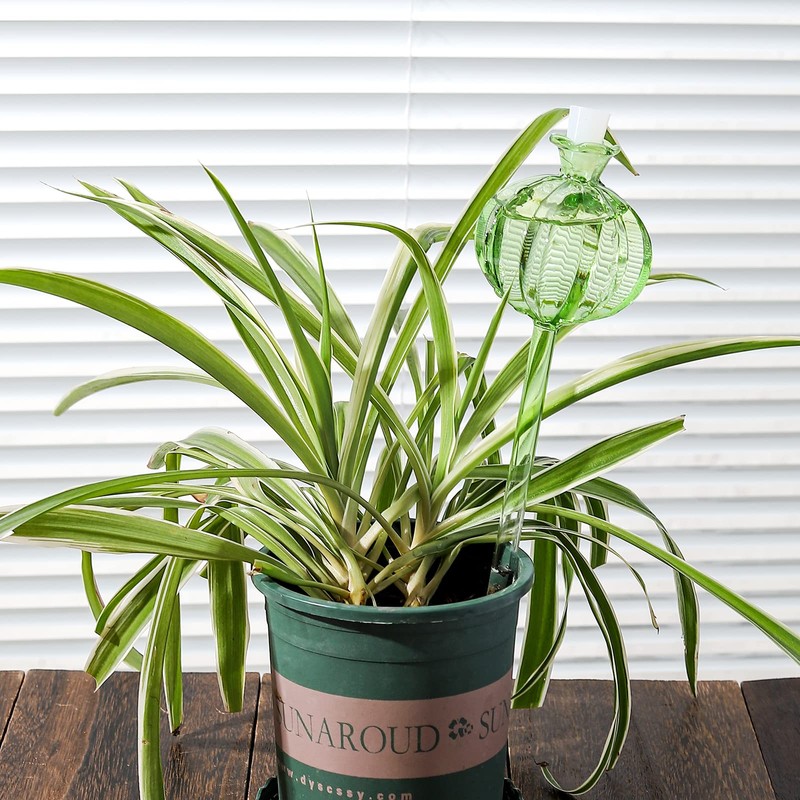 KGCCIZI Self Watering Planter Insert. Plant Watering Devices. 3-Pack Cactus