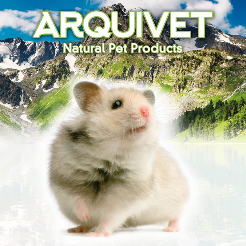 Arquivet Wooden Rodent House Medium 28 x 18 x 16