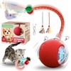Interactive Cat Ball Toys, 360° Intelligent Auto-Rolling Cat Toy Ball