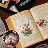 SSFUN 40PCS Transparent Dried Flower Bookmarks, DIY Bookmark Making Kit