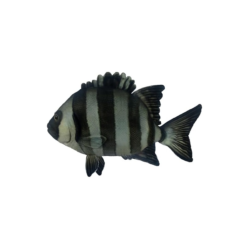 BH8513 HANSA ISHIDAI 34