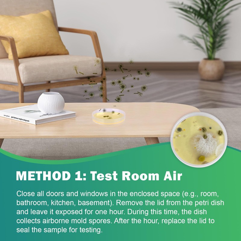 Carethetic Mold Test Kit for Home – 6 DIY Air,