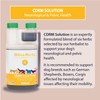 Hilton Herbs Canine CDRM - Neurological Support Formula 250 ml