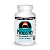 Source Naturals Pycnogenol 100 mg Proanthocyanidin Complex - 30 Tablets