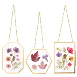 3 Pcs Pressed Flowers Frame Double Glass Frame for Pressed Flowers 6”x4” Botanical Display Metal Frame with Hanging Chain, DIY Dried Flower Preservation Kit Modern Wall Decor for Herbarium Art