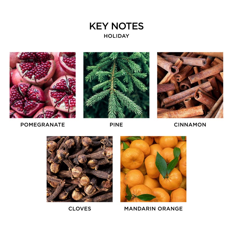 NEST Fragrances Holiday Wall Diffuser Refill, Set of 2