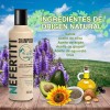 Kit Shampoo + Acondicionador Sin Sulfato Sin Parabenos Vegan