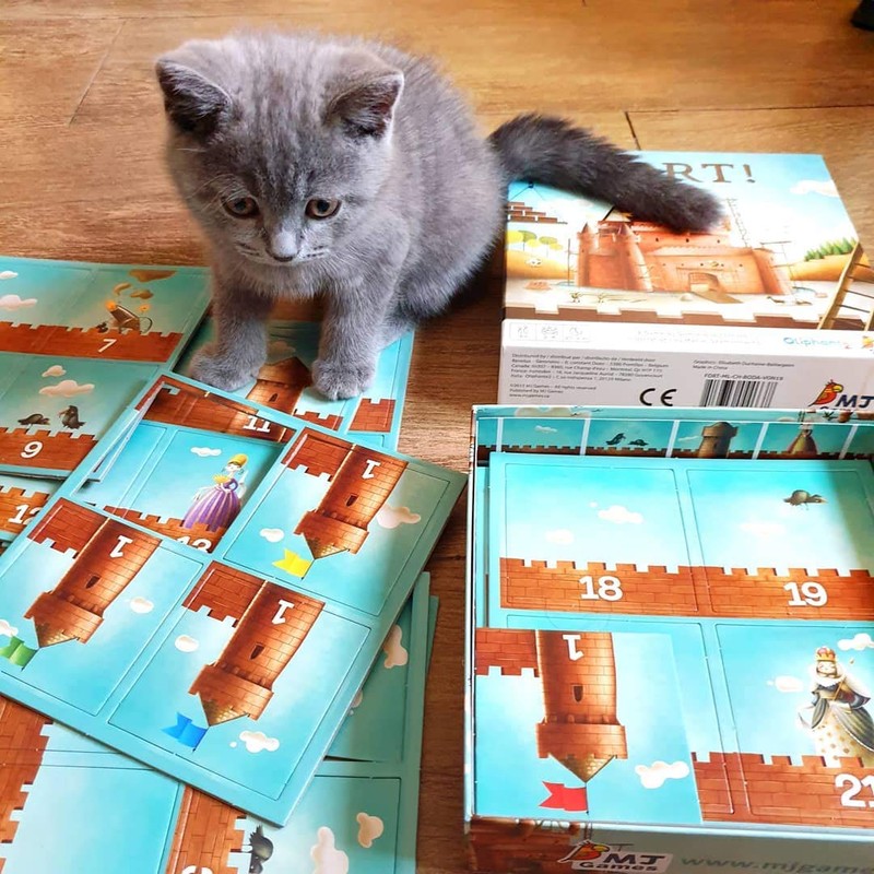 MJ Games . Oliphante Fort!