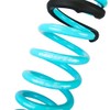 Godspeed LS-TS-BW-0002-A Traction-S Performance Lowering Springs, Improve Overall Handling And