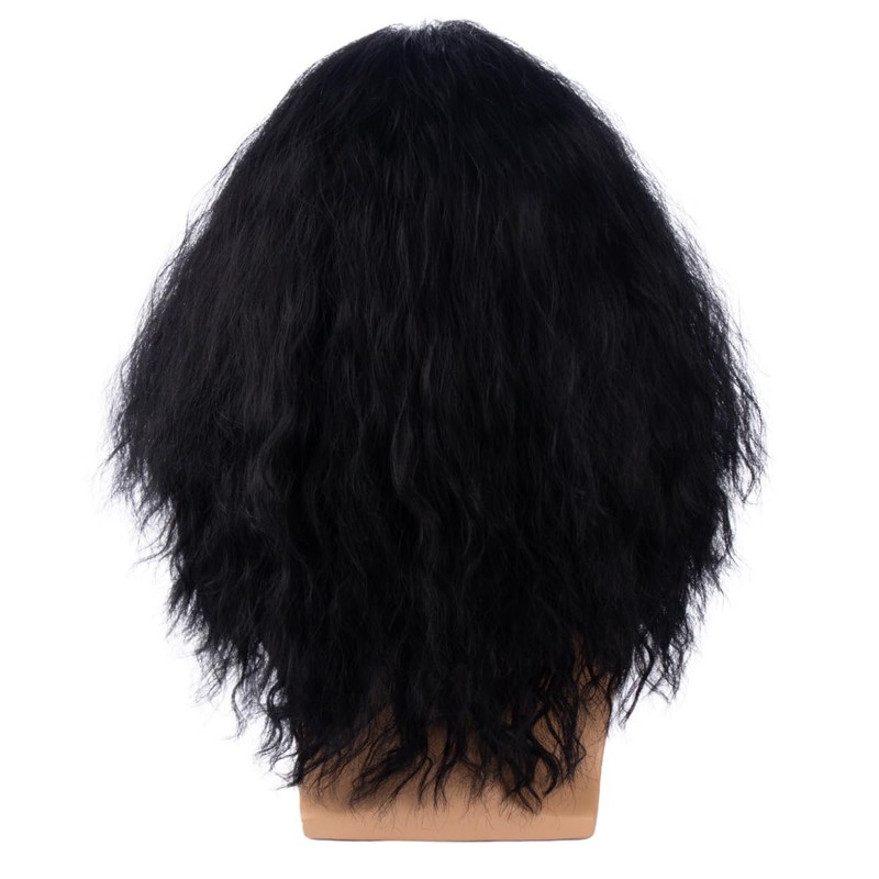 Long Black Male Wig Black Curly Wavy Wigs for Mens