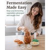 Elementi Mason Jar Fermentation Kit - Set of 4 Easy