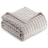 RUIKASI Fleece Throw Blanket for Sofa - Beige Single Fluffy