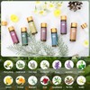 Comdian Set de 14 aceites esenciales aromáticos para aromaterapia, difusores,