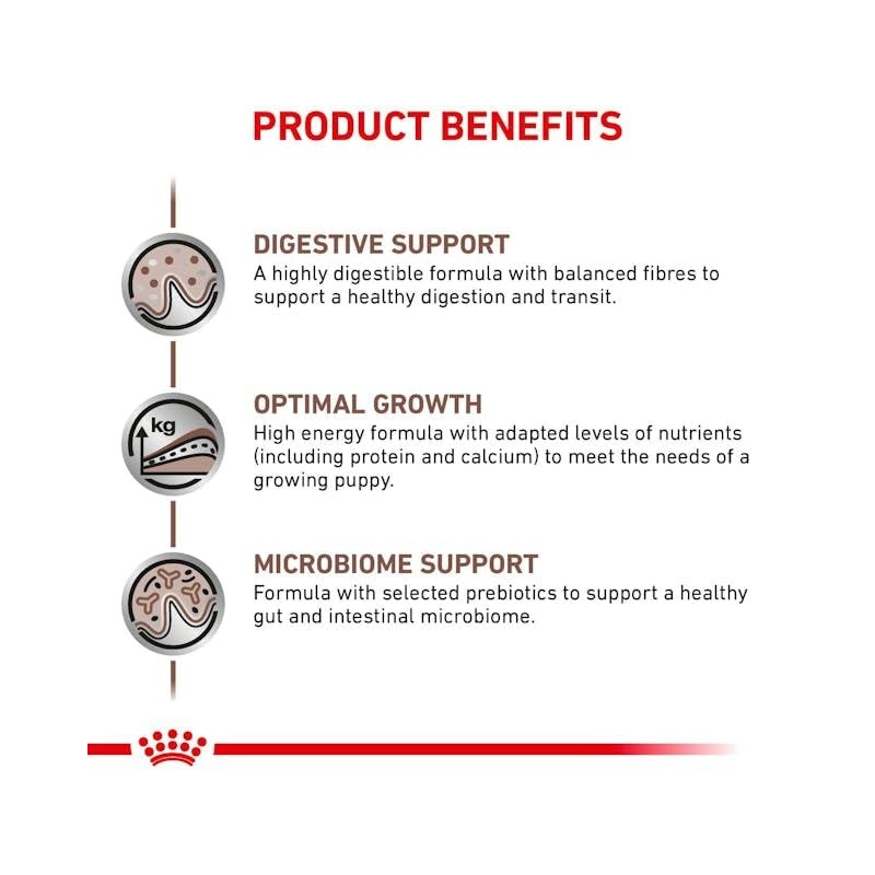 ROYAL CANIN ROYAL CANIN Gastro Intestinal Puppy Dog (GIJ 29)