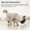 Leo's Paw Anti-Vomiting Orthopedic Cat Bowl Elevated 15° Tilted Cat