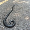 53" Rubber Snake Realistic Fake Snakes Prank Toy to Keep