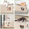 Cat Tunnel for Indoor Cats, DIY Transformable Cat Hideaway Cave,