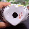 Owl Figurine Pottery Kutani Ware Owl White Sheng Black Feng