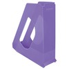 Esselte Magazine Folder, A4 Paper Tray for Documents, Catalogues and