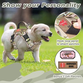 Tactical Small Dog Harness for Puppy, No Pull Military Service Dog Vest with Vertical Handle, Outdoor Training Small Puppy Vest Chihuahua Harness (Desert Green, XS)