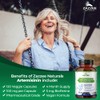 Zazzee High Absorption Artemisinin, 100 mg per Capsule, 120 Vegan